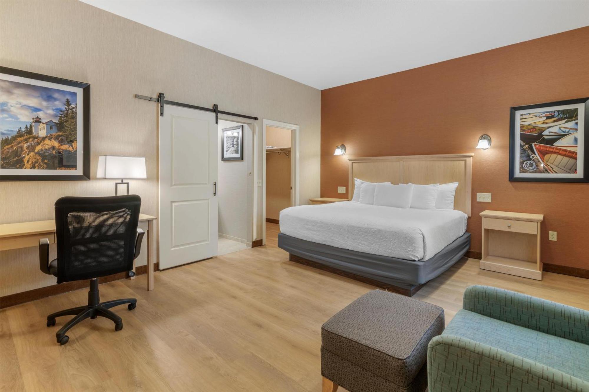 King Room Pet Friendly or Non-Smoking