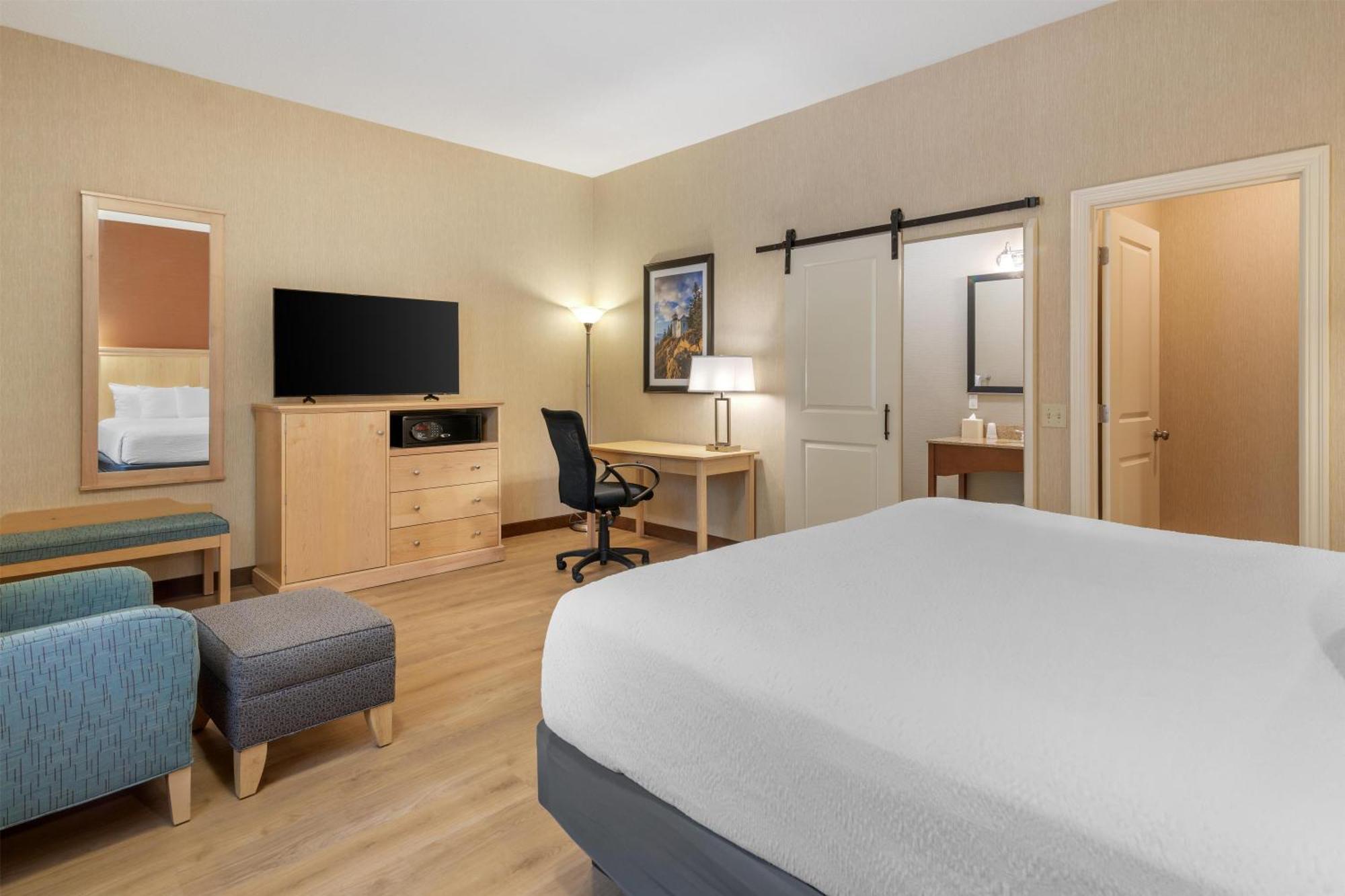 King Room Pet Friendly or Non-Smoking