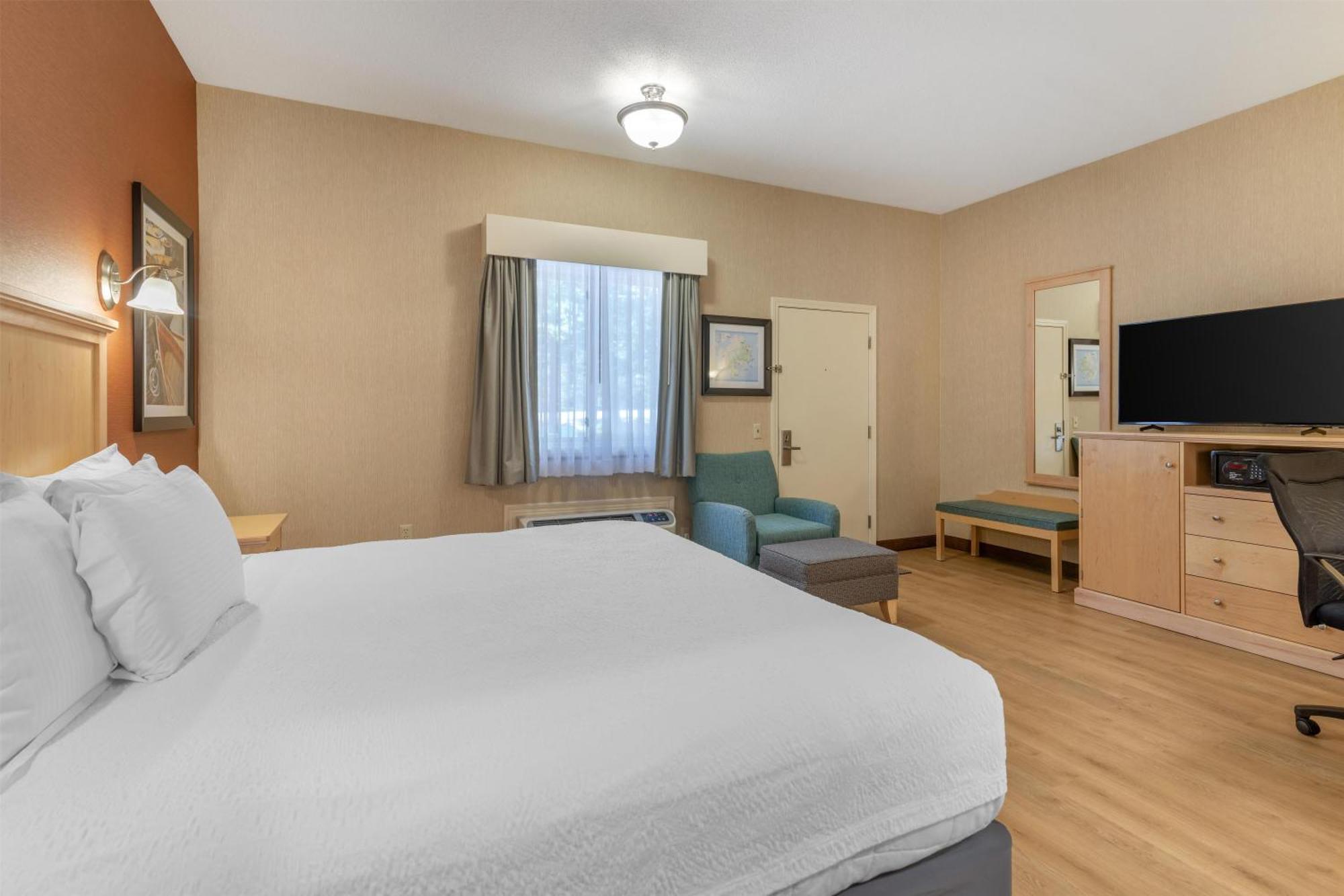 King Room Pet Friendly or Non-Smoking