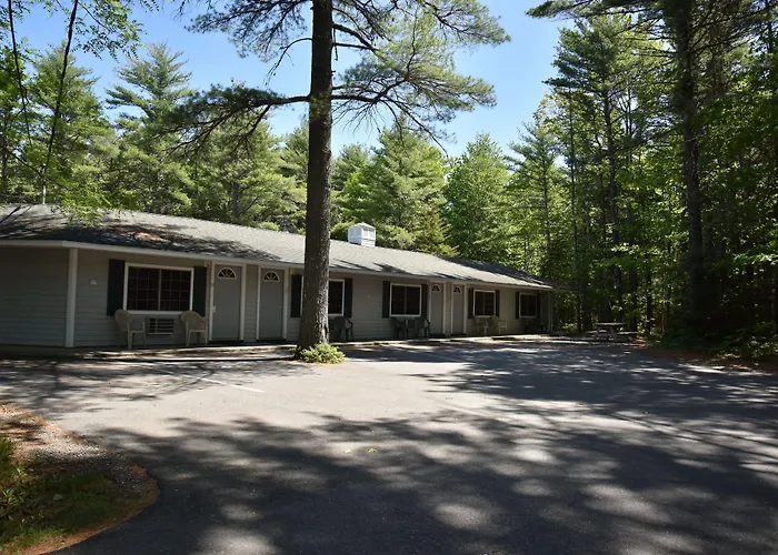 Motels Acadia Pines
